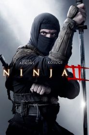 Ninja: Shadow of a Tear – Νίντζα II: Η εκδίκηση του πολεμιστή