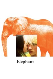 Elephant – Ελέφαντας