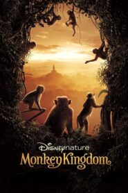 Monkey Kingdom – Το βασίλειο των μαϊμούδων