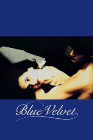 Blue Velvet – Μπλε βελούδο