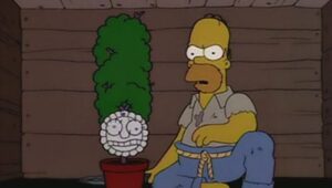 The Simpsons 5×22