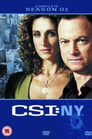 CSI: NY: Season 1