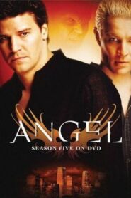 Angel: Season 5