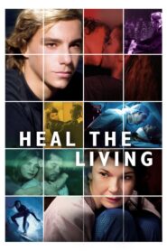 Heal the Living – Un paese quasi perfetto
