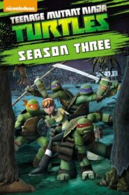 Teenage Mutant Ninja Turtles: Season 3