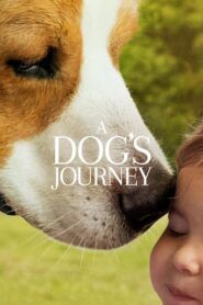 A Dog’s Journey – Ένας Αληθινός Φίλος