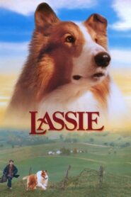 Lassie – Λάσι