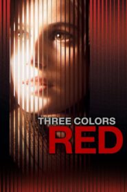 Three Colors: Red – Τρία χρώματα: Η κόκκινη ταινία – Trois couleurs : Rouge