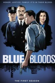 Blue Bloods: Season 1