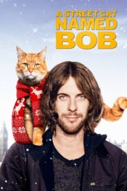 A Street Cat Named Bob – Ένας γάτος που τον έλεγαν Μπομπ
