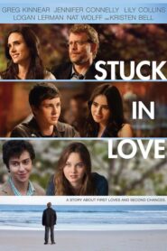 Stuck in Love – Όλα για την Αγάπη