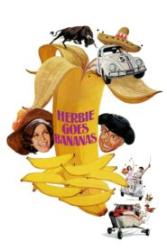 Herbie Goes Bananas – Το κατσαριδάκι πάει στη Νότια Αμερική
