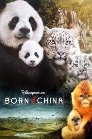 Born in China