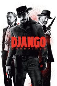 Django Unchained – Django, Ο Τιμωρός