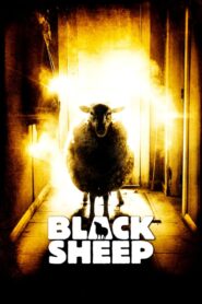 Black Sheep – Μαύρο Πρόβατο