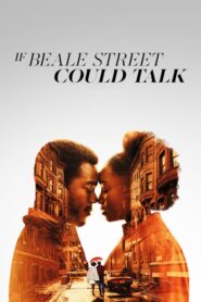 If Beale Street Could Talk – Αν η οδός Μπιλ μπορούσε να μιλήσει
