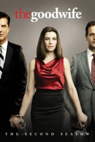 The Good Wife: Season 2