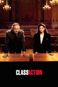 Class Action – Δικαστική Πλάνη