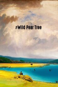 The Wild Pear Tree – Η Άγρια Αχλαδιά