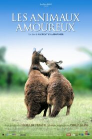 Animals In Love – Les Animaux Amoureux