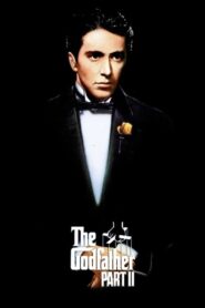 The Godfather: Part II – Ο Νονός, Μέρος 2ο