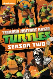 Teenage Mutant Ninja Turtles: Season 2