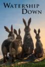 Watership Down – Στο Λόφο του Γουότερσιπ