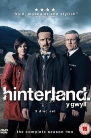 Hinterland: Season 2