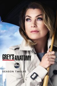 Grey’s Anatomy: Season 12