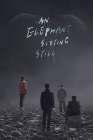 An Elephant Sitting Still – Ένας ελέφαντας στέκεται ακίνητος