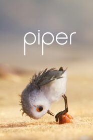 Piper