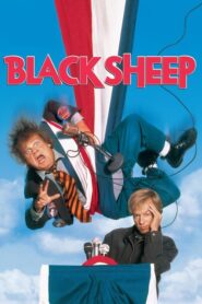 Black Sheep – Το μαύρο πρόβατο