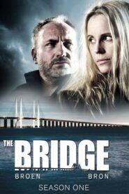 The Bridge: Season 1