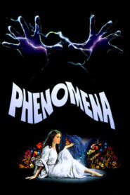 Phenomena – Φαινόμενα