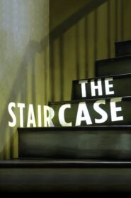 The Staircase – Soupçons