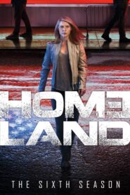 Homeland: Season 6