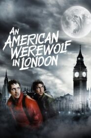 An American Werewolf in London – Ένας Αμερικανός λυκάνθρωπος στο Λονδίνο