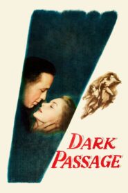Dark Passage – Σκοτεινή διάβαση