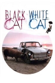 Black Cat, White Cat – Μαύρη γάτα, άσπρος γάτος