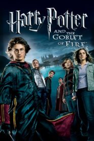 Harry Potter and the Goblet of Fire – Ο Χάρι Πότερ και το κύπελλο της φωτιάς