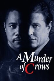 A Murder of Crows – Τέλειο Έγκλημα