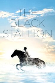 The Black Stallion – Το Μαύρο Αλογο