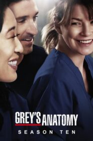 Grey’s Anatomy: Season 10