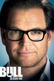 Bull: Season 1