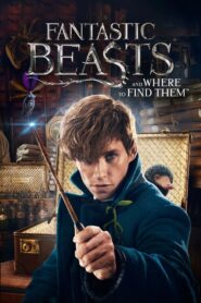 Fantastic Beasts and Where to Find Them – Φανταστικά Ζώα Και Πού Βρίσκονται