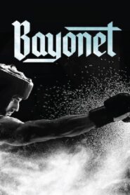 Bayoneta – Μπαγιονέτα: Μαχητής Ξανά
