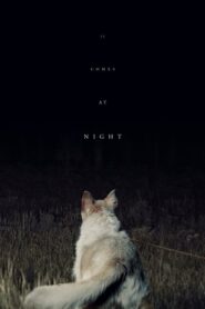 It Comes at Night – Έρχεται τη νύχτα