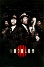Hoodlum – Οι γκάνγκστερς της Νέας Υόρκης