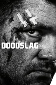 Manslaughter – Doodslag