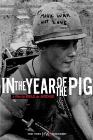 In the Year of the Pig – Τα Γουρουνίσια Χρονιά